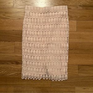Ann Taylor Crochet Pencil Skirt